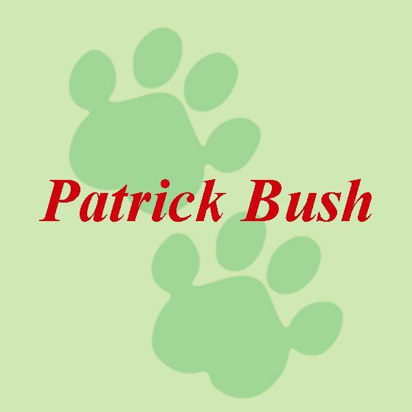 Patrick Bush